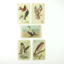 5 Victorian Trade Cards Arm &amp; Hammer Birds Mexican Star King Osprey Purple Finch - £19.97 GBP