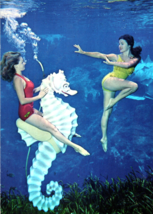 Mermaid Riding A Seahorse Scene Weeki Wachee Springs Florida FL Postcard - £9.82 GBP