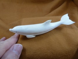 Dolph-w38 XL white Albino Dolphin of shed ANTLER figurine Bali detailed ... - $93.96