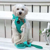 Wag Your Teal Dog Waste Bag Holder - £18.99 GBP