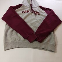 Panthers Men's Gray & Red Long Sleeve Drawstring Hoodie Pullover Sweatshirt XL image 11