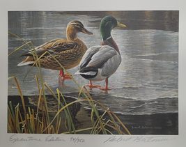 Mallard Pair -Early Winter 1985 First Wildlife Habitat Canada Duck Stamp Print b - £117.50 GBP