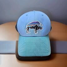 Patagonia Fitz Roy Bison Trucker Hat Radar Blue Adjustable - $32.67