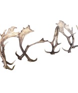 Fallow Deer Horn Sets (28 pairs/left and right) Horn Antlers Arts and Cr... - $2,969.01