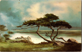 Vtg Postcard California Famed Cypress overlooking Carmel Bay Painting PM 1979 - £4.59 GBP