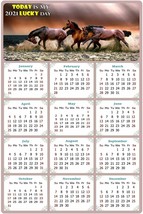 2022 Magnetic Calendar - Today is My Lucky Day - Horses Themed 01 (5.25 x 8) - £7.81 GBP