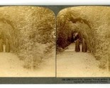 Underwood Stereoview Bower of St Anthony Vatican Gardens Rome Italy 1905 - $17.82