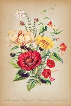 13728.Decor Poster print.Room Wall art design.Flowers bouquet.Floral arrangement - £12.94 GBP+