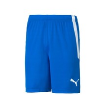 Puma TeamLIGA Shorts Men&#39;s Soccer Shorts Training Pants Sports Blue NWT ... - $35.91