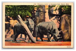 Rhinoceros Exhibit Detroit MI Zoological Park UNP LInen Postcard N27 - £2.36 GBP