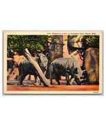 Rhinoceros Exhibit Detroit MI Zoological Park UNP LInen Postcard N27 - $4.09 CAD