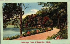 Judsonia Arkansas AR 1950s Vtg Linen Postcard Landscape Lake Posted Post Card - £9.58 GBP