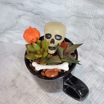 Halloween Planter with Live Succulents, Mug Garden, Skull Halloween fairy garden image 3