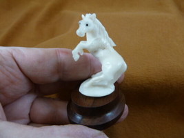 (tb-horse-4) rearing wild Horse Tagua NUT palm figurine Bali carving lov... - $46.98