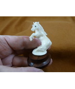 (tb-horse-4) rearing wild Horse Tagua NUT palm figurine Bali carving lov... - £36.86 GBP