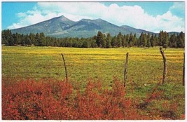 Postcard San Francisco Peaks Flagstaff Arizona - $3.95