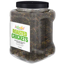 Whole Roasted Cricket Snacks - Pound Size - £31.41 GBP