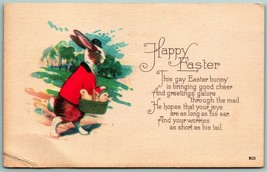 Anthropomorphic Bunny w Basket of Chicks Happy Easter UNP DB Postcard F8 - $9.85
