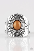 Paparazzi Zen To One Brown Ring - New - £3.58 GBP