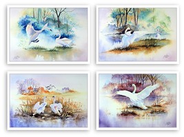 Trumpet Swan Collection (Note Cards By Artist Gail Vass) - £15.65 GBP