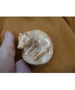 tb-pig-2 little tan pig laying down Tagua NUT palm figurine Bali Piglet ... - $781.75 MXN