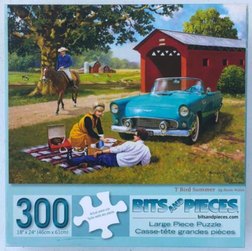 Primary image for BITS & PIECES T-Bird Summer JIGSAW PUZZLE 300 Large Pieces CIB OOP Kevin Walsh