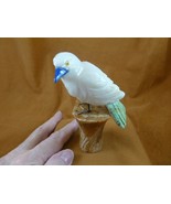 (Y-BIR-SO-420) Songbird white green bird gemstone STONE carving Peru son... - $28.04