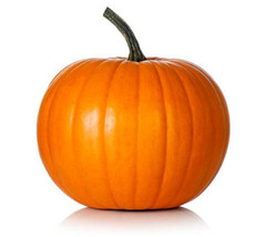 25 Hijinks Pumpkin Seeds For Garden Planting    From US - £8.10 GBP