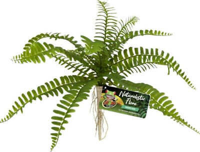 Zoo Med Naturalistic Flora Sword Fern - Life-like Plant for Terrarium Privacy an - $9.95