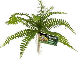 Zoo Med Naturalistic Flora Sword Fern - Life-like Plant for Terrarium Privacy an - £7.84 GBP