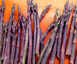 5 Bare Root Purple Passion Live Asparagus 2yr Crowns Hand Picked Nursery - £20.50 GBP