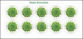 2017 Global Green Succulent International  -  Stamp Sheet of 10 Scott 5198a - $25.16