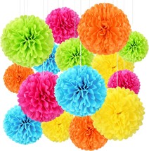 Tissue Pom Pom Paper Flower Ball Party Decorations 15 Pcs 10 12 14 Inch for Wedd - £25.56 GBP
