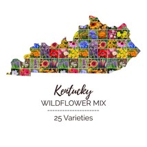 Wildflower Kentucky State Mix &amp; Annual 25 Types Usa Non-Gmo 1000 Seeds - £7.75 GBP