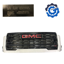 Oem Gm Grille Assembly White For 2024-2025 Gmc Sierra 2500 3500 Hd AT4 85666071 - £671.07 GBP