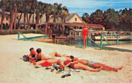 Silver Springs Florida~Snow White BEACH-JUNGLE Cruise SHIPS~1956 Postcard - £8.18 GBP