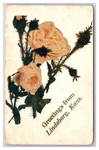 Generic Floral Greetings From Lindsborg Kansas KS  DB Postcard H29 - £3.91 GBP