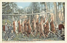 Adirondack Montagne Ny ~Un Adirondack Cervo Caccia Scene ~ Cartolina - £9.48 GBP