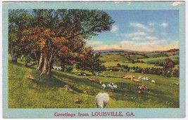 Postcard Greetings From Louisville Georgia Animals In Field - £2.19 GBP