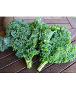 15 Vegetable Seeds Kale Lettuce - $5.98