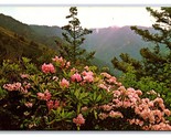 Mountain Laurel Rhododendron Western North Carolina NC UNP Chrome Postca... - $3.91