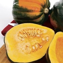 Table King Acorn Squash - Pumpkin - Kürbis - 5+ Seeds - Graines - Samen ... - $4.36