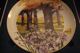 Royal Winton Wild Flowers of the South &quot;Frost Aster&quot; collector plate original - £35.20 GBP