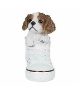 Pacific Giftware PT All Star Animal King Charles Puppy Dog in The Shoe F... - $34.99