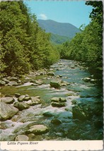 Little Pigeon River Great Smoky Mountain National Park Postcard PC366 - £3.97 GBP