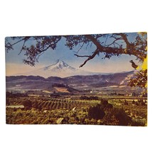 Postcard Hood River Valley Mt Hood Oregon Chrome Unposted - £5.19 GBP