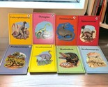 Vintage Dinosaur Story books Library Lot of 8 Books Colorful w/ lots of ... - $24.69