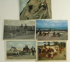 Vintage LOT Transportation Travel Postcards Dog Horse &amp; Ox Carts Hauling Goods - £11.79 GBP
