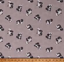 Cotton Pandas Panda Bears Animals Gray Cotton Fabric Print by the Yard (D576.55) - £10.19 GBP