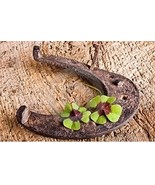 FAST LUCK SPELL .Pics of Casting Incl. A Hoodoo Spell For Luck, in a Hurry  - $31.00 CAD